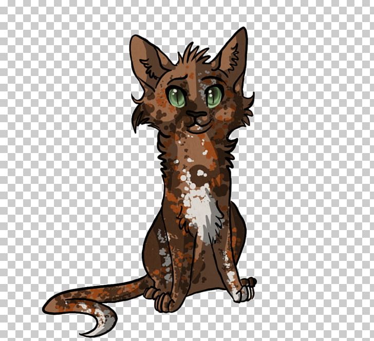 Whiskers Kitten Tabby Cat Wildcat Red Fox PNG, Clipart, Animals, Carnivoran, Cartoon, Cat, Cat Like Mammal Free PNG Download