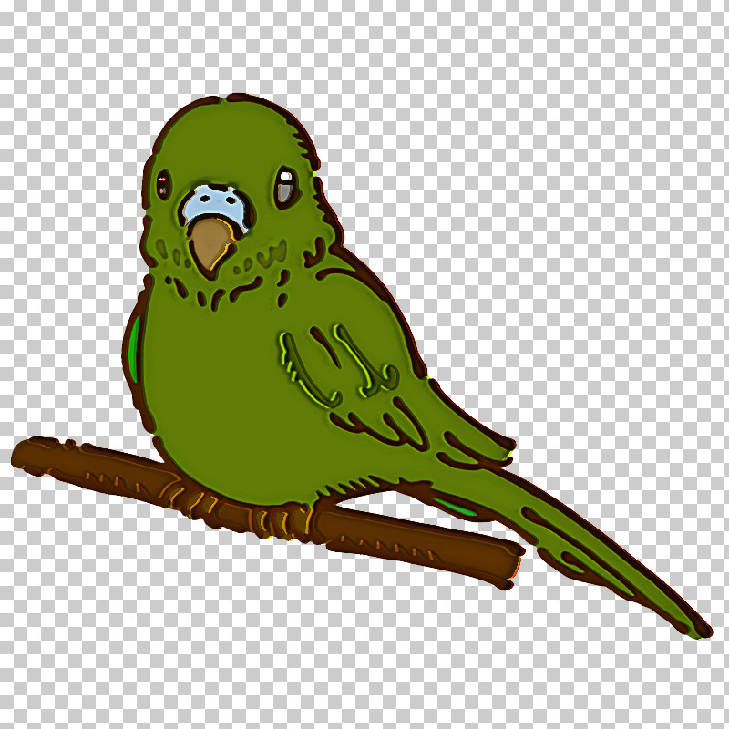 Budgerigar Macaw Birds Parrots Beak PNG, Clipart, Adain, Beak, Birds, Budgerigar, Eagle Free PNG Download