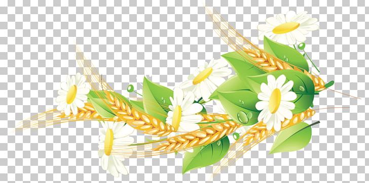 Corn On The Cob Cereal Grasses Grain Food PNG, Clipart, Cereal, Chamomile, Commodity, Corn On The Cob, Family Free PNG Download