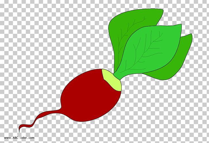 Garden Radish Drawing Raster Graphics PNG, Clipart, Auglis, Coloring Book, Digital Image, Drawing, Flora Free PNG Download