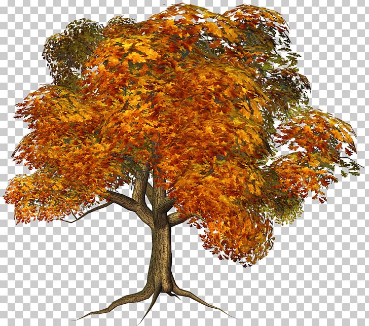 Tree Autumn PNG, Clipart, Arecaceae, Autumn, Branch, Clipart, Clip Art Free PNG Download