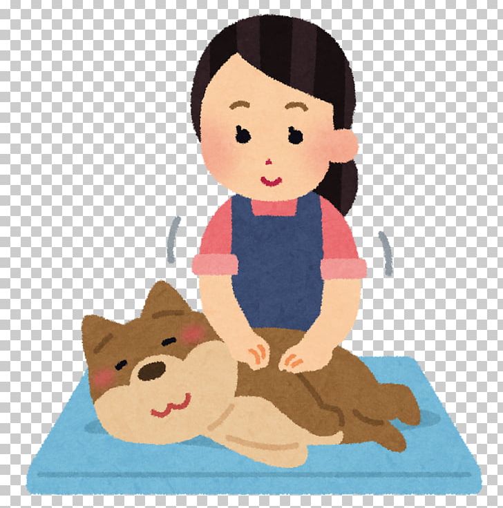 Cat Puppy Pet Ferret Shih Tzu PNG, Clipart, Animals, Aromatherapy, Art, Cartoon, Cat Free PNG Download