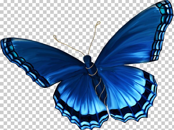 Insect Butterflies And Moths Light Coloring Book Aglais Io PNG, Clipart, Arthropod, Blue, Brush Footed Butterfly, Butterflies And Moths, Child Free PNG Download