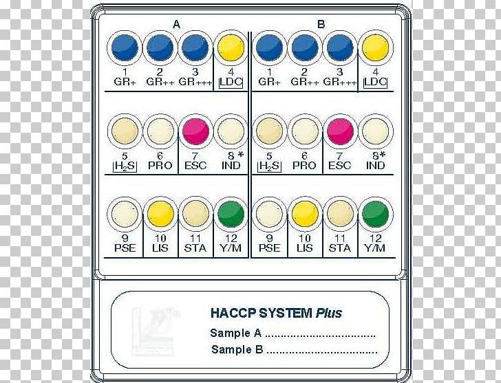 Antibiotics Hazard Analysis And Critical Control Points Ureaplasma Urealyticum Ampicillin PNG, Clipart, Amikacin, Amoxicillin, Ampicillin, Antibiotics, Area Free PNG Download