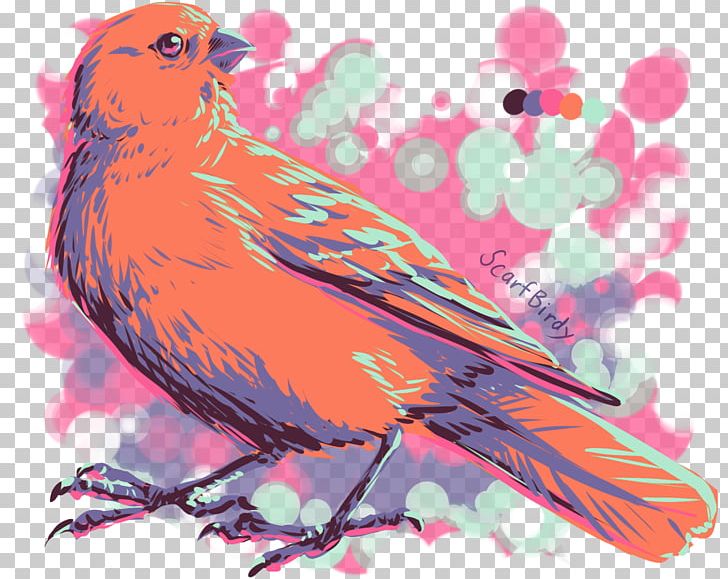 Beak Pink M PNG, Clipart, Art, Beak, Bird, Branch, Branching Free PNG Download