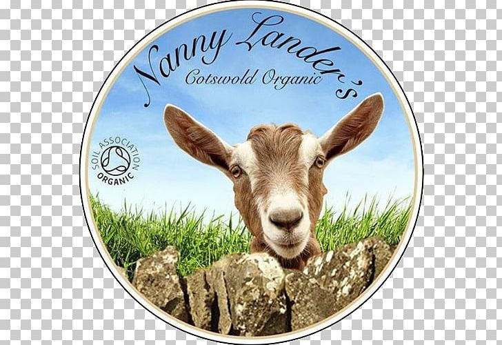 Goat Cheese Farmer Cheese Organic Food PNG, Clipart, Animals, Cattle, Cheese, Cotswolds, Cow Goat Family Free PNG Download