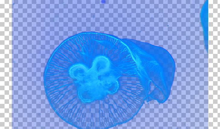 Organism Circle Close-up PNG, Clipart, Background, Blue, Closeup, Cobalt Blue, Computer Free PNG Download