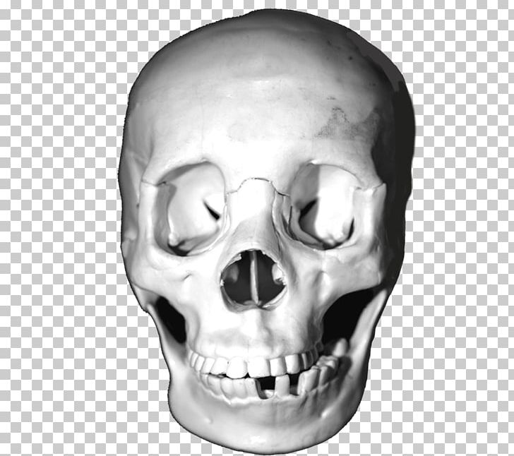 Skull Drawing Desktop PNG, Clipart, Black And White, Bone, Cartoon, Color, Desktop Wallpaper Free PNG Download