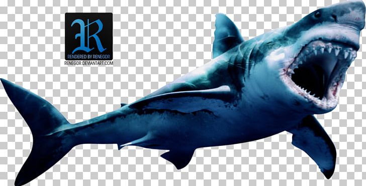 Great White Shark Shark Attack Megalodon Art PNG, Clipart, Animal, Art, Cartilaginous Fish, Deviantart, Fauna Free PNG Download