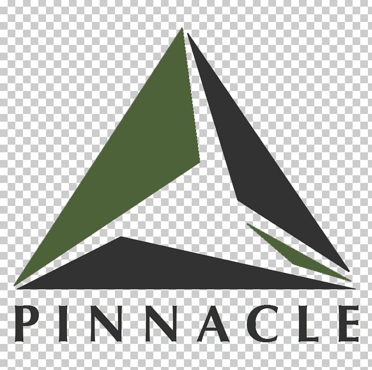 Pinnacle Lien Services Inc Triangle Brand Email Logo PNG, Clipart, Angle, Area, Brand, Email, Facebook Free PNG Download