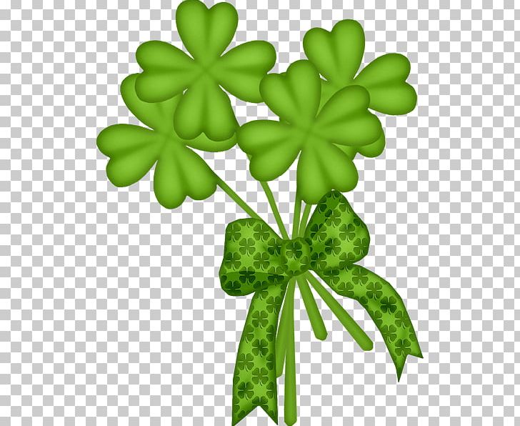 Shamrock Saint Patrick's Day Thumbnail Digital PNG, Clipart, Digital Image, Flora, Flower, Flowering Plant, Grass Free PNG Download
