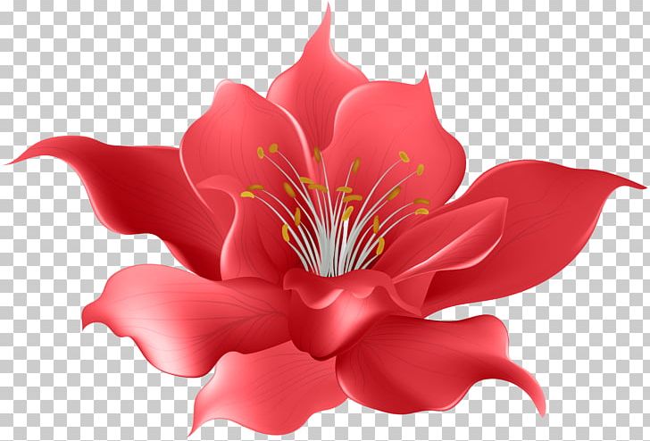 Decorative Flowers Magnolia Floral Design Watercolor Painting PNG, Clipart, Alstroemeriaceae, Blue, Cut Flowers, Decorative Flowers, Drawing Free PNG Download