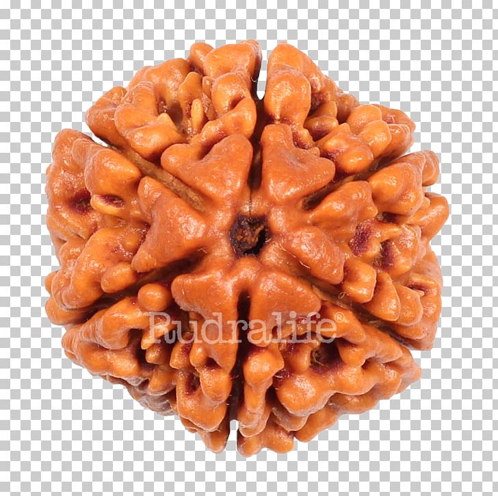 Rudraksha Rudralife Bead Japamala Praline PNG, Clipart, Bead, Buddhist Prayer Beads, Chocolate, Chocolate Coated Peanut, Confectionery Free PNG Download