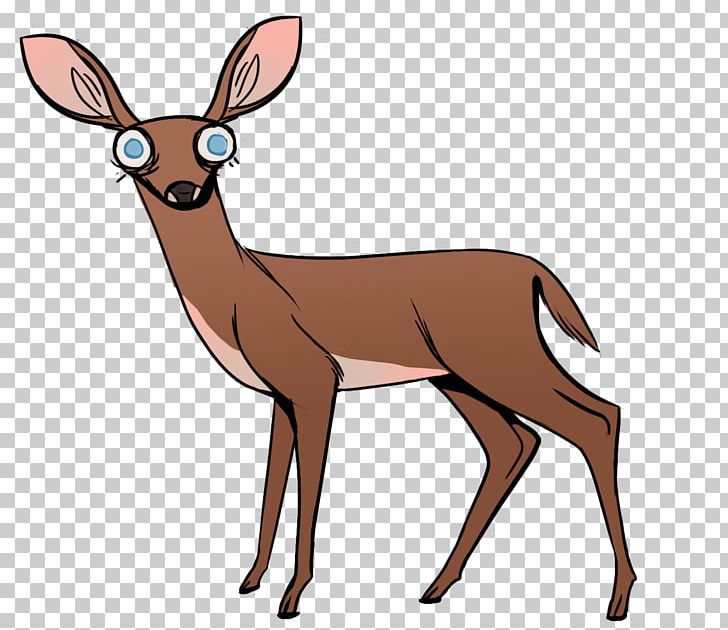 White-tailed Deer Elk Musk Deer Antler PNG, Clipart, Animal, Animal Figure, Animals, Antler, Deer Free PNG Download