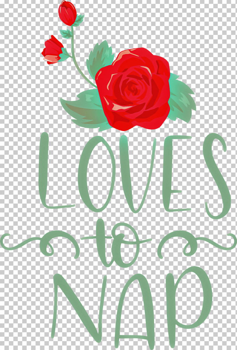 Loves To Nap PNG, Clipart, Cut Flowers, Floral Design, Flower, Flower Bouquet, Garden Roses Free PNG Download