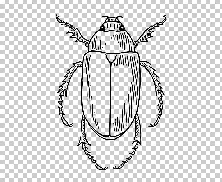 Beetle Coloring Book Drawing PNG, Clipart, Animals, Artwork, Beetle, Black And White, Child Free PNG Download