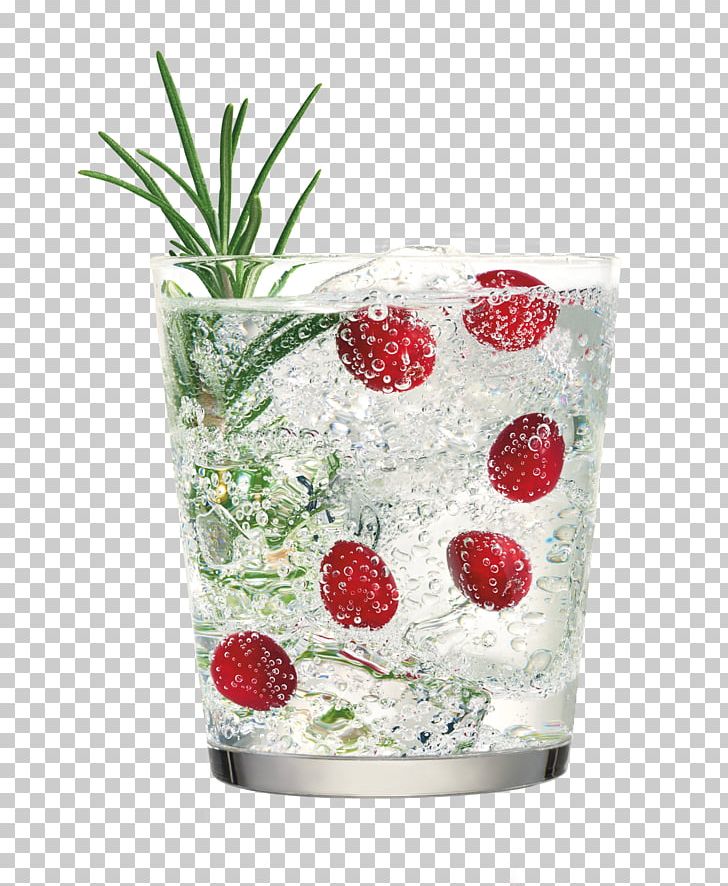 Cocktail Garnish Fizzy Drinks Ketel One Distilled Beverage PNG, Clipart, Carbonated Water, Cocktail, Cocktail Garnish, Cranberries, Diageo Free PNG Download