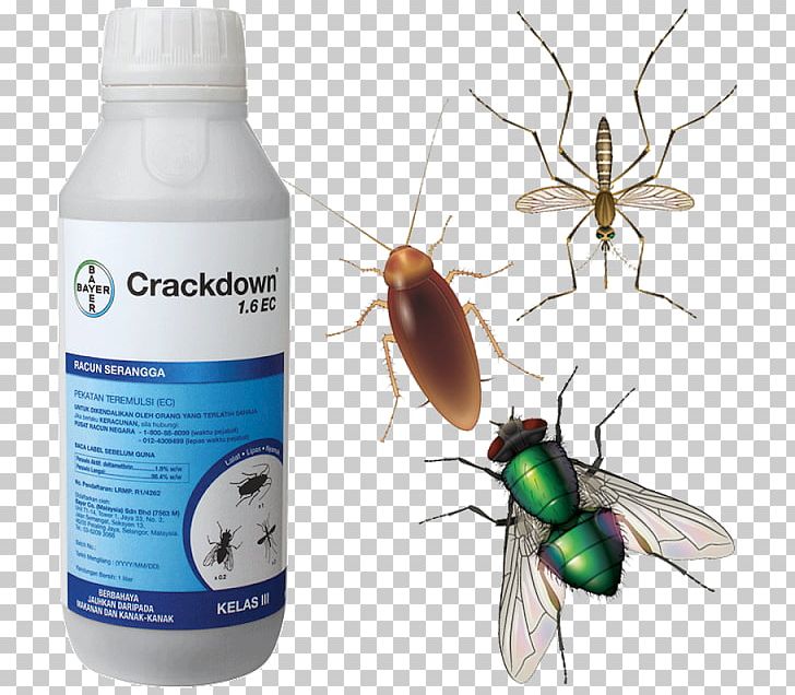 Crackdown Insecticide Pest Mosquito PNG, Clipart, Arthropod, Cockroach, Crackdown, Deltamethrin, Flea Free PNG Download
