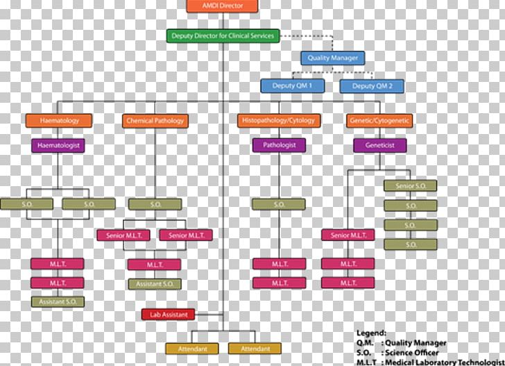 Organizational Chart Organizational Structure Non-profit Organisation Health Care PNG, Clipart, Angle, Board Of Directors, Brand, Business, Chart Free PNG Download