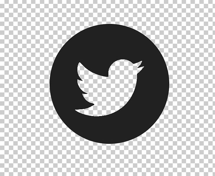 Social Media Computer Icons PNG, Clipart, Beak, Bird, Black And White, Button, Circle Free PNG Download