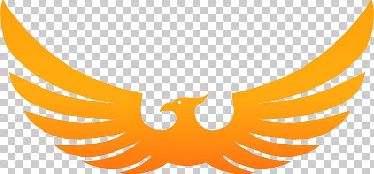 Bird Poster Phoenix Decal Sticker PNG, Clipart, Beak, Bird, Decal, Eagle, Inch Free PNG Download