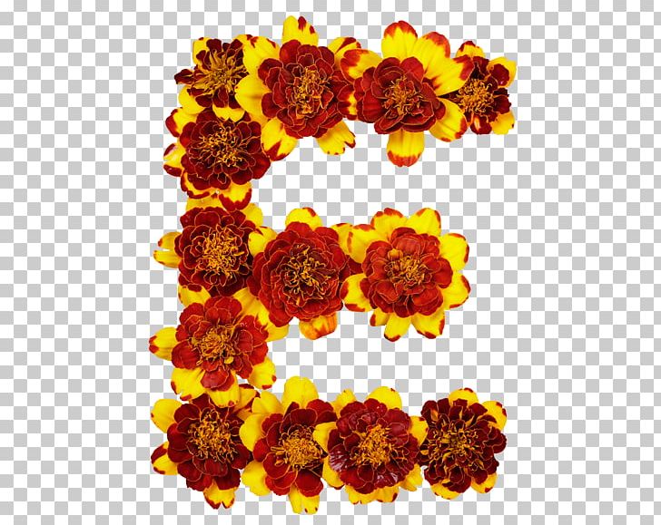 Letter Case Alphabet Flower Font PNG, Clipart, Alphabet, Capital City, Cut Flowers, Flower, Flowering Plant Free PNG Download