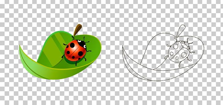 Coccinella Septempunctata PNG, Clipart, Cartoon, Cartoon Animals, Cartoon Eyes, Fall Leaves, Food Free PNG Download