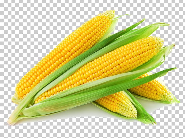 Corn On The Cob Maize Sweet Corn Fruit Vegetable PNG, Clipart, Commodity, Corn, Corncob, Corn Kernel, Corn Kernels Free PNG Download