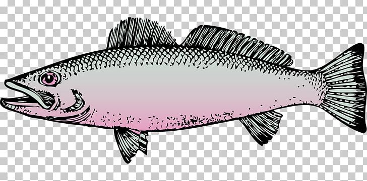 Fishing Rainbow Trout PNG, Clipart, Angling, Art, Barramundi, Bonito, Bony Fish Free PNG Download