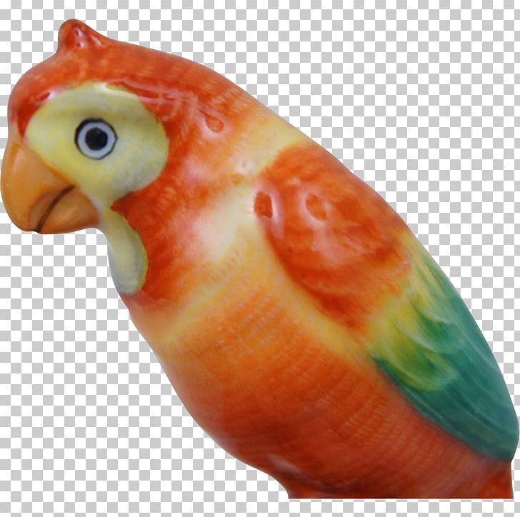 Lovebird Macaw Parakeet Pet Beak PNG, Clipart, Beak, Bird, Common Pet Parakeet, Lovebird, Macaw Free PNG Download