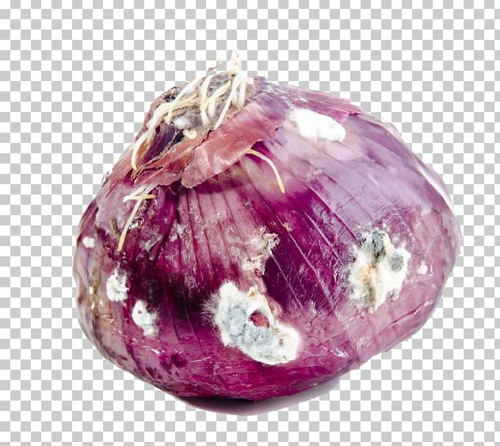 Red Onion Vegetable Mold Vegetarian Cuisine PNG, Clipart, Amethyst, Food, Garlic, Gemstone, Green Onion Free PNG Download