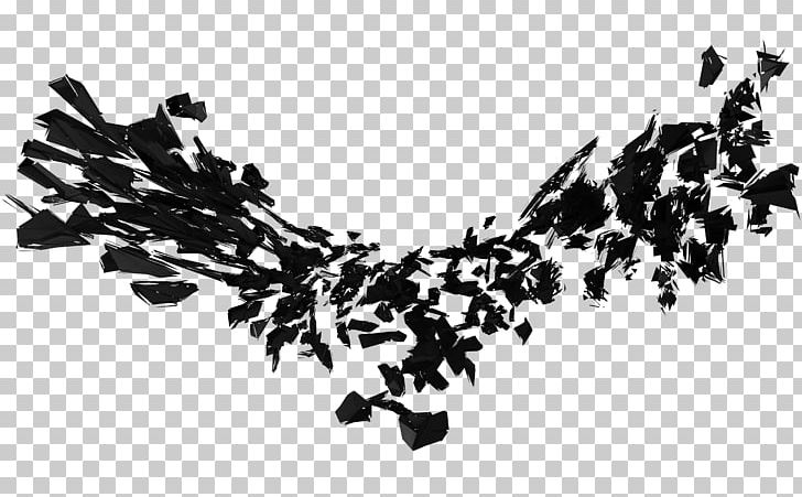 Cinema 4D Rendering Computer Software Monochrome Photography PNG, Clipart, 4 D, Adobe After Effects, Art, Black And White, Branch Free PNG Download