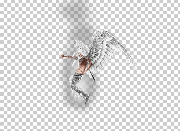 Insect Jewellery PNG, Clipart, Animals, Fly, Insect, Invertebrate, Jewellery Free PNG Download