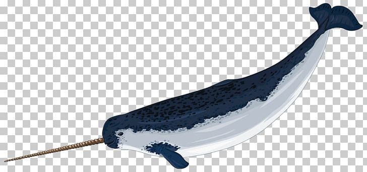 Narwhal Arctic Drawing PNG, Clipart, Animal Figure, Arctic, Baby Narwhal Cliparts, Blog, Cuteness Free PNG Download