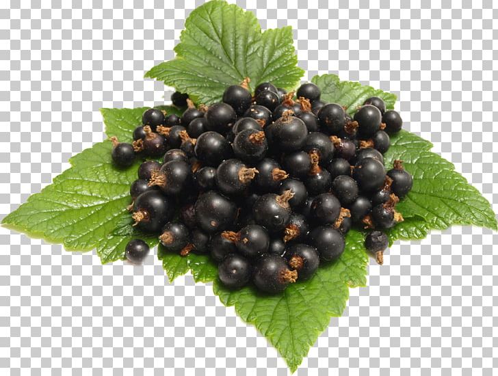 Redcurrant Blackcurrant Fruit Energy Drink Berry PNG, Clipart, Berry, Bilberry, Blackberry, Blackcurrant, Blueberry Free PNG Download