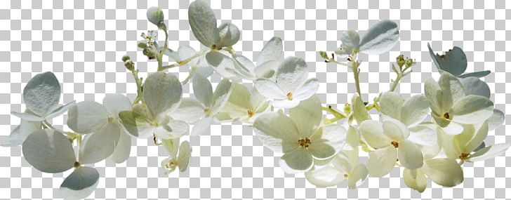 Spring Text Blossom PNG, Clipart, Autumn, Blog, Blossom, Body Jewelry, Branch Free PNG Download
