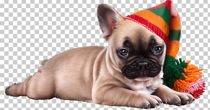 French Bulldog Toy Bulldog Puppy Dog Breed PNG, Clipart, Animal, Animals, Blog, Bulldog, Carnivoran Free PNG Download