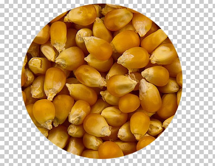 Maize Popcorn Semolina Food Crop Yield PNG, Clipart, Agriculture, Bean, Cereal, Commodity, Common Wheat Free PNG Download