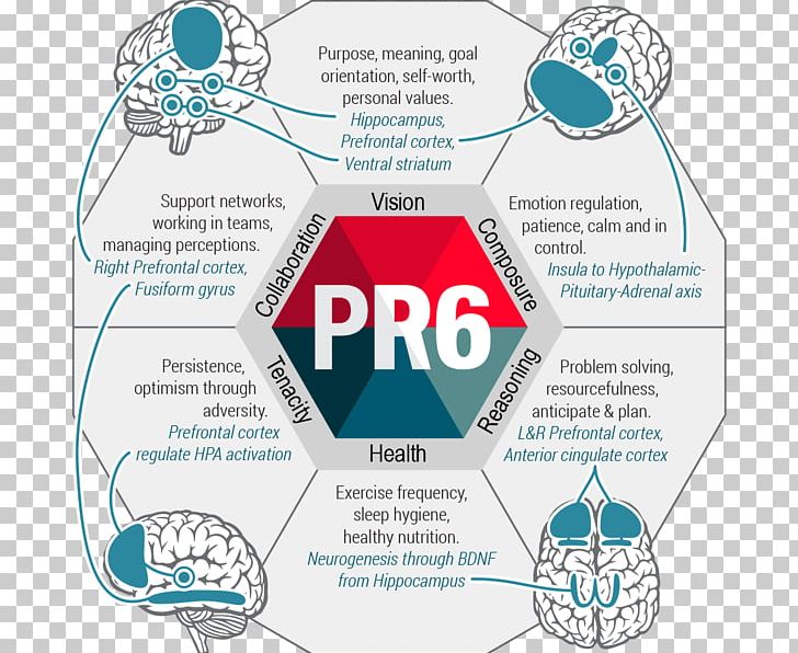 Psychological Resilience Research Scale Psychometrics Measurement PNG, Clipart, Behavior, Brand, Circle, Communication, Diagram Free PNG Download