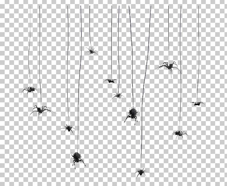 Spider-Man Spider Web Filistata Maguirei PNG, Clipart, Andrew Garfield, Angle, Black, Black And White, Cartoon Free PNG Download