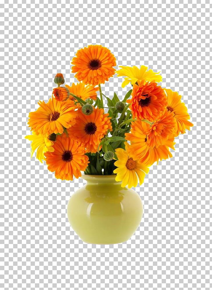 Vase Flower Calendula Officinalis PNG, Clipart, Artificial Flower, Calendula, Common Sunflower, Cut Flowers, Daisy Family Free PNG Download