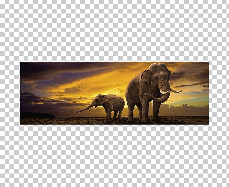 African Elephant Lion Hippopotamus Rhinoceros PNG, Clipart, African Elephant, Animal, Animals, Canvas, Elephant Free PNG Download
