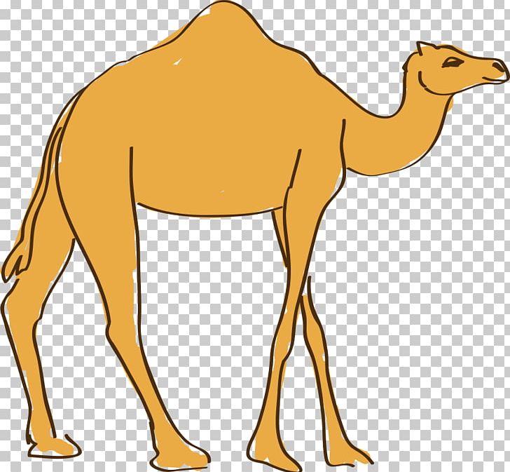 Dromedary Drawing Animation PNG, Clipart, Animal, Animals, Arabian Camel, Balloon Cartoon, Boy Cartoon Free PNG Download