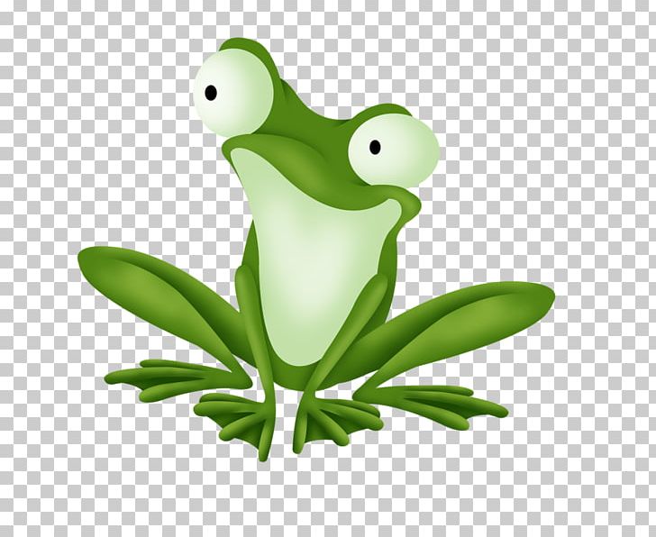 Edible Frog Rana PNG, Clipart, Amphibian, Animals, Animation, Balloon Cartoon, Boy Cartoon Free PNG Download