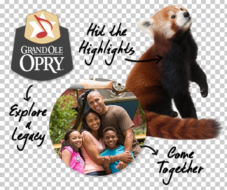 Mammal Grand Ole Opry Human Behavior PNG, Clipart, Behavior, Chattanooga Whiskey Company, Grand Ole Opry, Human, Human Behavior Free PNG Download