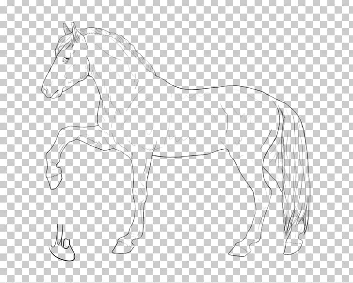 Mane Foal Mustang Bridle Stallion PNG, Clipart, Animal Figure, Artwork, Black And White, Bridle, Colt Free PNG Download