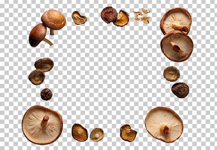 The Worlds Healthiest Foods Mushroom Frame Shiitake PNG, Clipart, Agaricus, Circle, Circle Frame, Circle Infographic, Circle Logo Free PNG Download