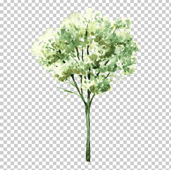 Watercolor Painting Drawing Shrub Tree PNG, Clipart, Artificial Flower, Autumn Tree, Color, Deciduous, Family Tree Free PNG Download