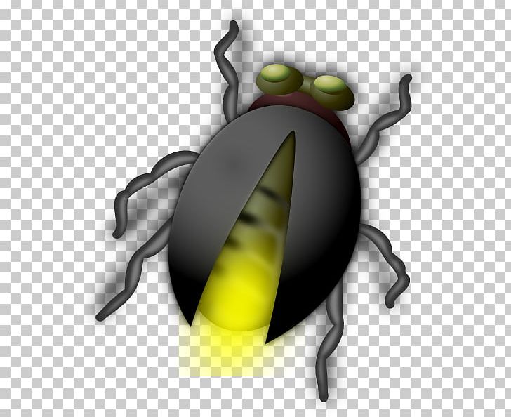 Beetle Free Content Firefly PNG, Clipart, Aphid, Beetle, Download, Firefly, Firefly Cliparts Free PNG Download