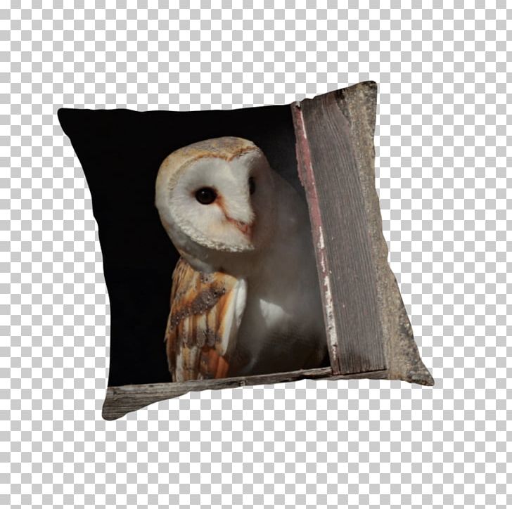 Owl Throw Pillows Cushion Snout PNG, Clipart, Barn Owl, Beak, Bird, Bird Of Prey, Cushion Free PNG Download